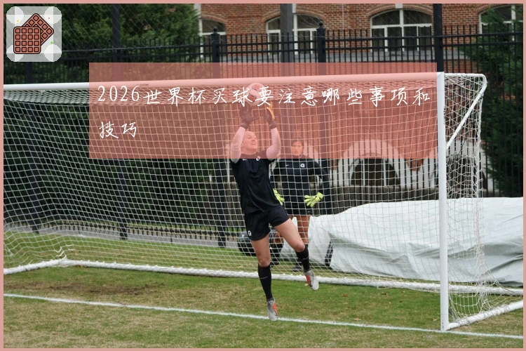 2026世界杯买球要注意哪些事项和技巧