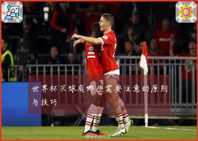 世界杯买球有哪些需要注意的原则与技巧