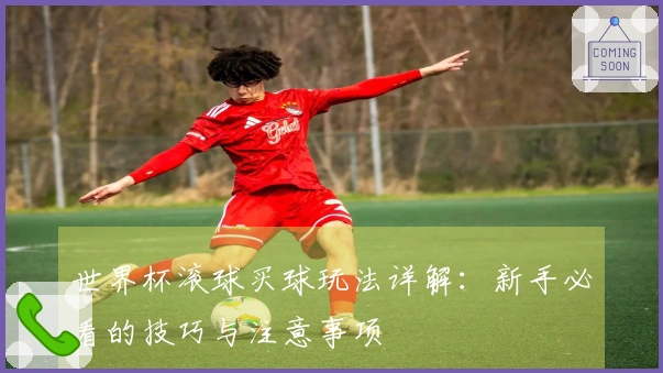 世界杯滚球买球玩法详解：新手必看的技巧与注意事项